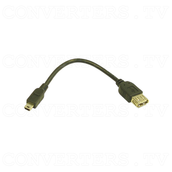PAL/NTSC Video to NTSC/PAL Video Converter - Mini Usb Cable